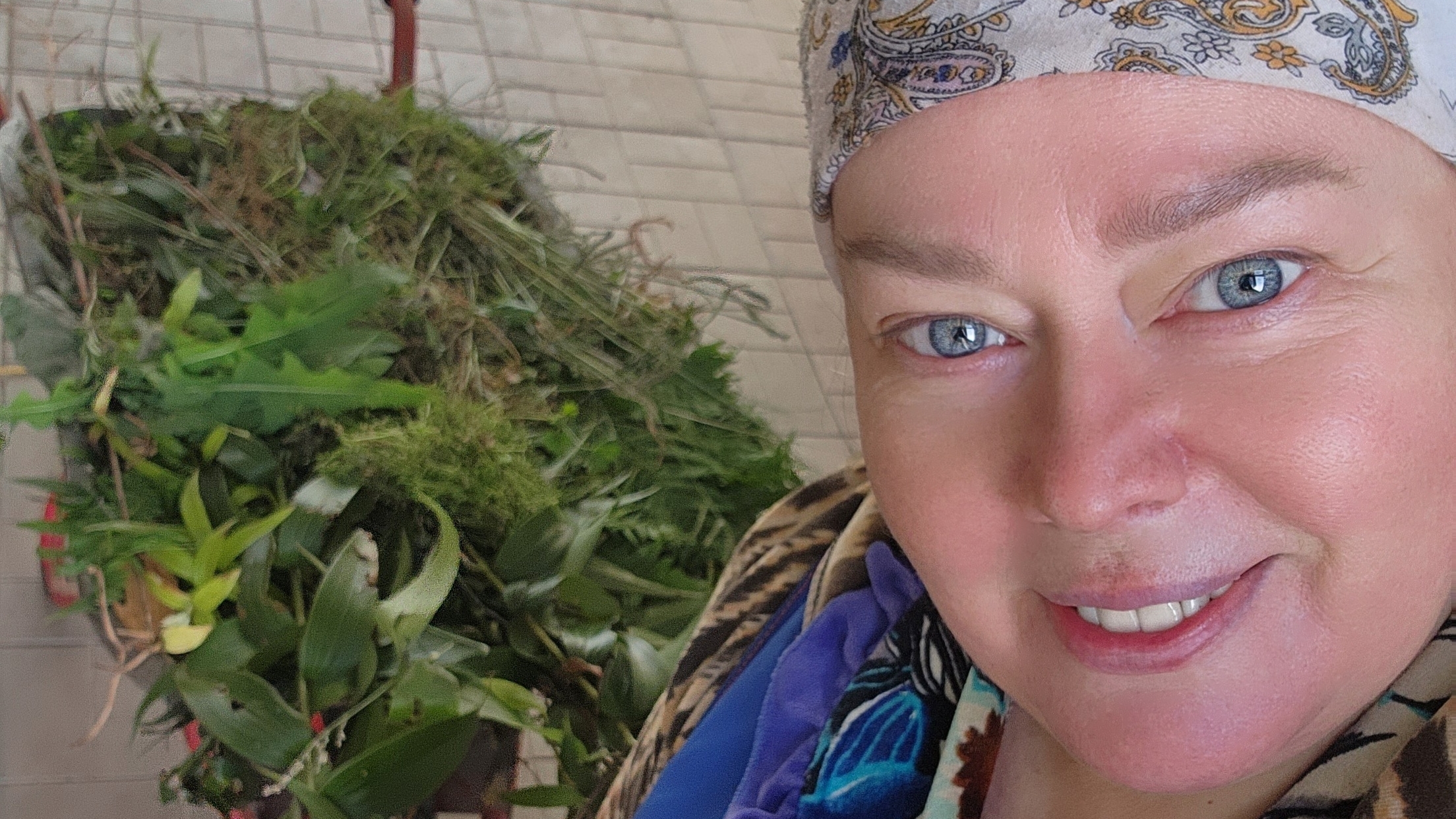 Тихая осень идёт смотреть онлайн