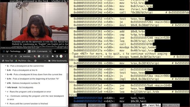 Reverse Analysis of FFMPEG Binary (without debugging symbols) | Reverse Engineering Basics #0 смотреть онлайн