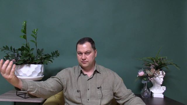 Какой дом построить и где - Лабиринты Знаний смотреть онлайн