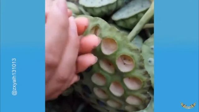 CRAZY TEACHER THROWS LAPTOP OUT THE WINDOW смотреть онлайн