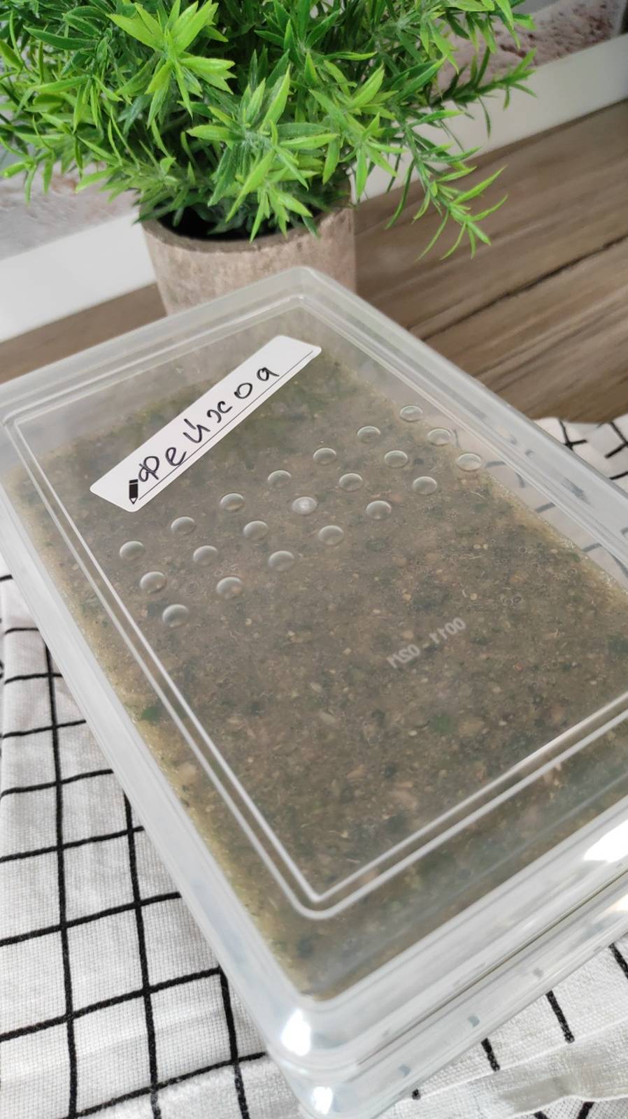 Сохраним фейхоа на зиму? смотреть онлайн