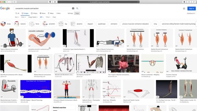 download gif from internet to your laptop (mac) смотреть онлайн