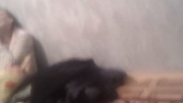 слегка зависла или домашний баскетбол смотреть онлайн
