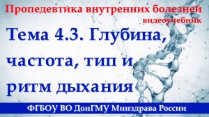 4.3. Глубина, частота, тип и ритм дыхания