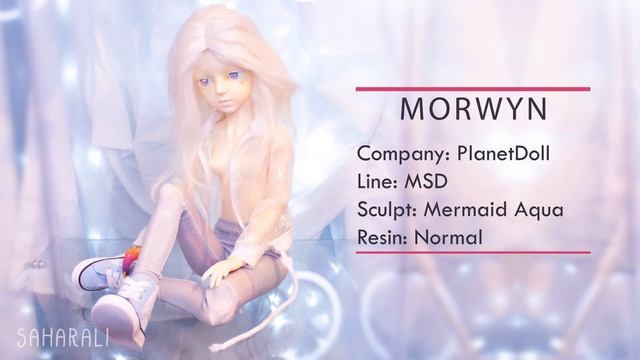 2019 End of Year BJD and MH Collection смотреть онлайн