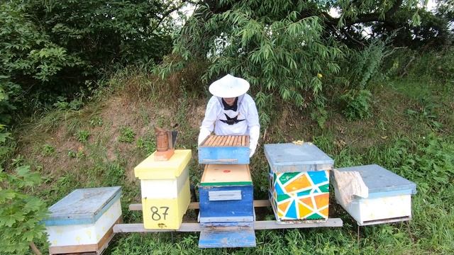 Забрал магазин с мёдом через удалитель пчёл. Пчеловод выходного дня. смотреть онлайн