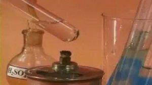 Органическая химия. Гидролиз крахмала