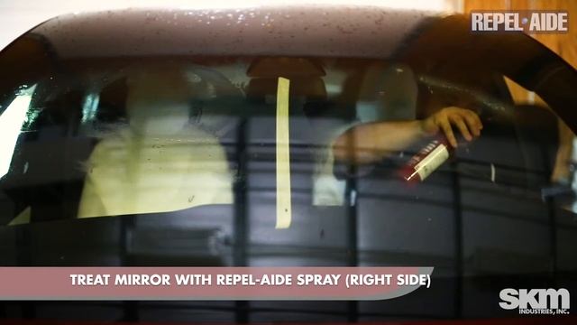 Repel-Aide Anti-Fog Anti-Static UV Protectant Spray смотреть онлайн