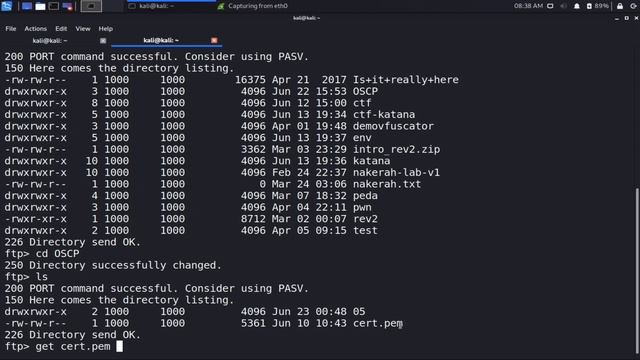 13 Sniffing Traffic - OSCP | Offensive Security Certified Professional смотреть онлайн