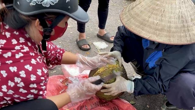 FULL VIDEO :100 Days Of Harvesting Papaya, Banana, Custard Apple And Gac To Sell At The Market