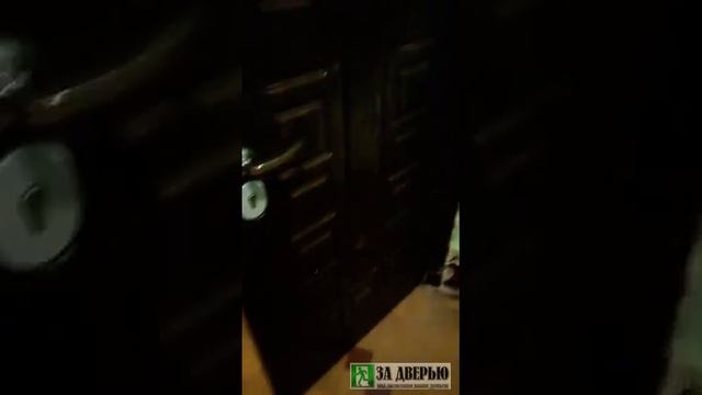 Отзыв о двери Браво S51 (второй) смотреть онлайн