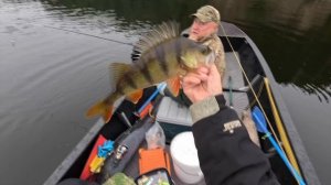 ЭТО НЕ СОН! РЫБЫ МОНСТРЫ! ТАК БЫВАЕТ ТОЛЬКО ВО СНЕ | 2 ЧАСТЬ