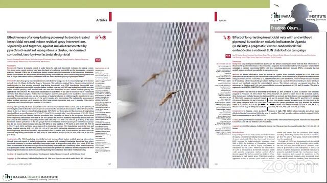 The Mosquitoes Must Die: a MasterClass with Profs. Hilary Ranson & Corine Ngufor смотреть онлайн