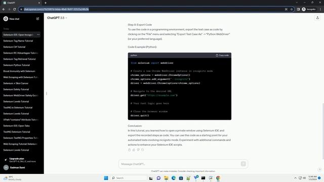 selenium ide open private window смотреть онлайн