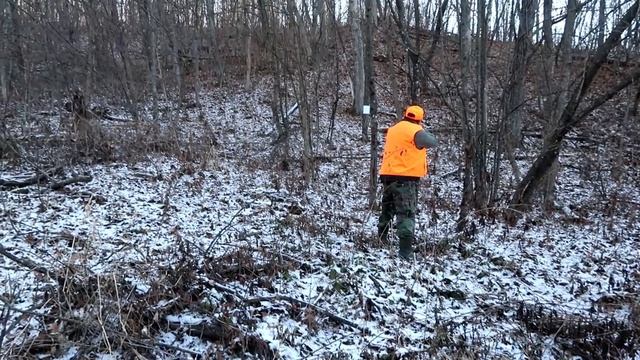 Mus sim phom CZ 457 смотреть онлайн