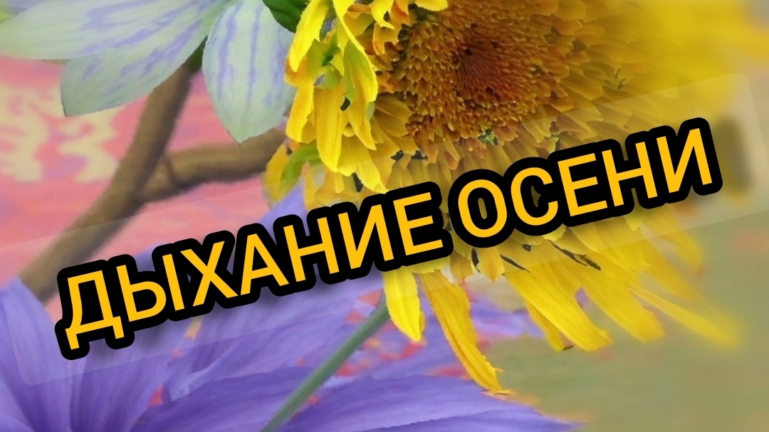 Подшив крыши. 13.10.2024 смотреть онлайн