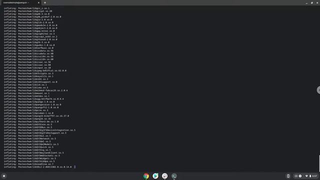 How to install Pesterchum Chat Application on a Chromebook смотреть онлайн