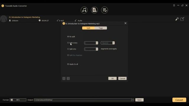 TunesKit Audio Converter Review 2020 смотреть онлайн