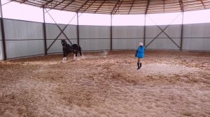 Работа с лошадью на развязках