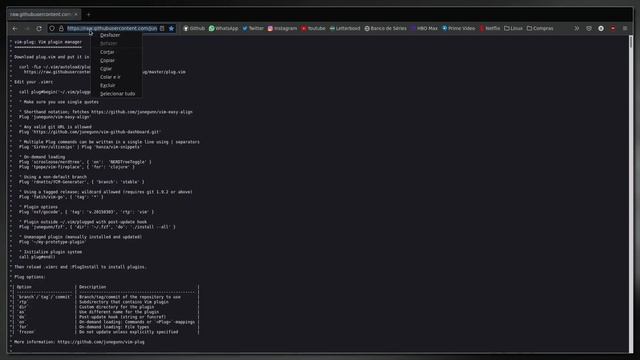 Instalando PLUGINS no NEOVIM com VIM-PLUGIM смотреть онлайн