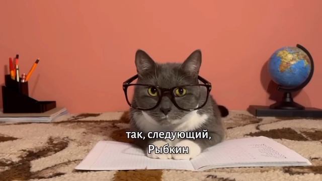 Котинет rytp @kotiynet смотреть онлайн