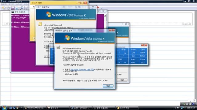 Windows Vista Business K with Service Pack 2 (Korean) in VMWare Workstation Pro! смотреть онлайн