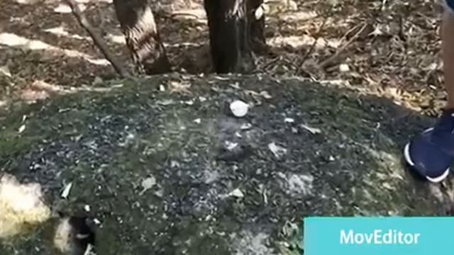 ONE MAN ONE HAMMER THREE BALLS😱😱😱 смотреть онлайн