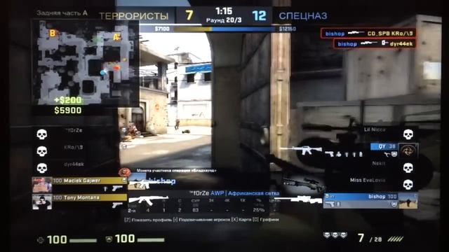 CS:GO | AWP Ace смотреть онлайн