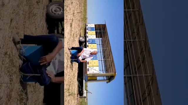 #ЯПчеловод Сергей Лебедь. Краснодарский край. Династия Лебедь с 62 г. Порода серо горно кавказская. смотреть онлайн