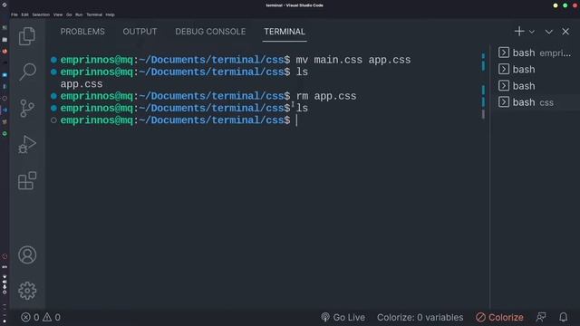 Comandos básicos terminal Para Principiantes | Desarrollo Web смотреть онлайн