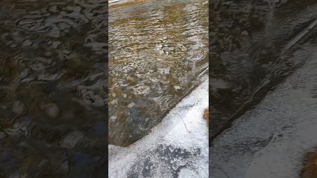 За валежником 😉✌️