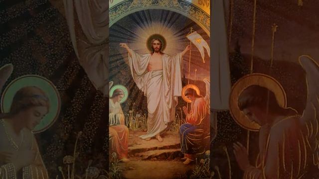 Медикаментозный аборт смотреть онлайн