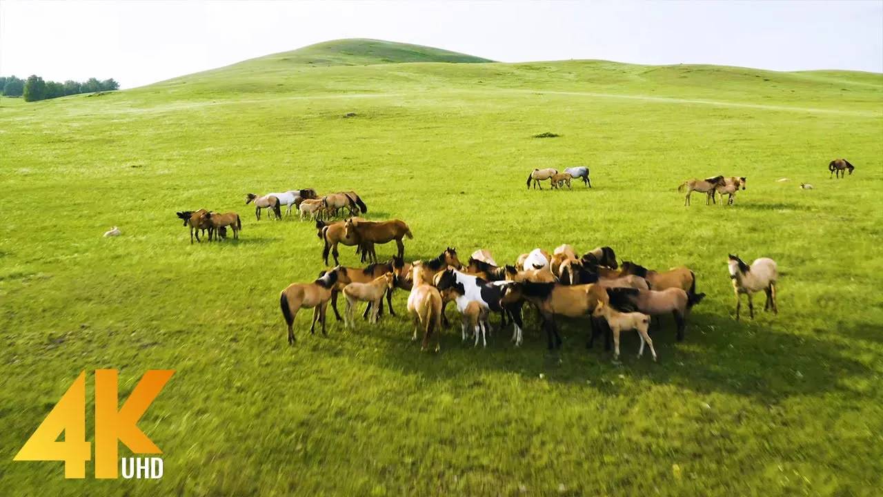 4K Scenic Nature Film - Beautiful Nature of South Ural from Above and from Earth смотреть онлайн