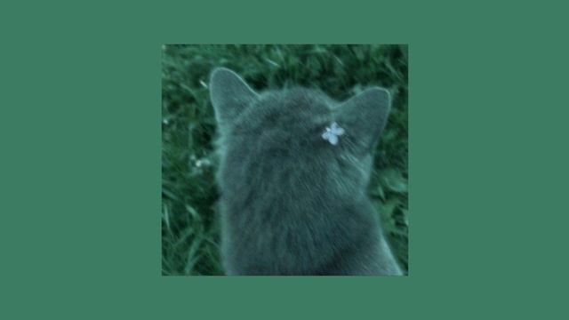 TV Girl - Cigarettes out the window (sped up/nightcore) смотреть онлайн