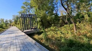 Дагестан. Эльтавский лес