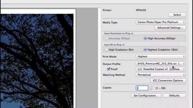 Canon imagePROGRAF Print Plug-In for Adobe Photoshop смотреть онлайн