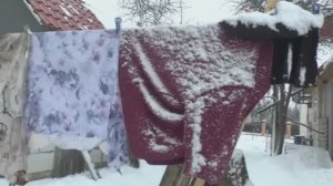 Февраль! Блог из повседневной жизни!