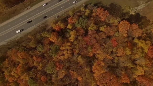 ЗОЛОТАЯ ОСЕНЬ