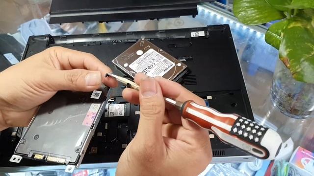 Nâng cấp ổ cứng HDD sang SSD | Chuyển đổi ổ cứng HDD thành HDD box gắn смотреть онлайн
