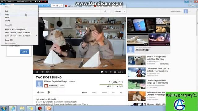 How to add a Youtube video to Powerpoint 2007 смотреть онлайн