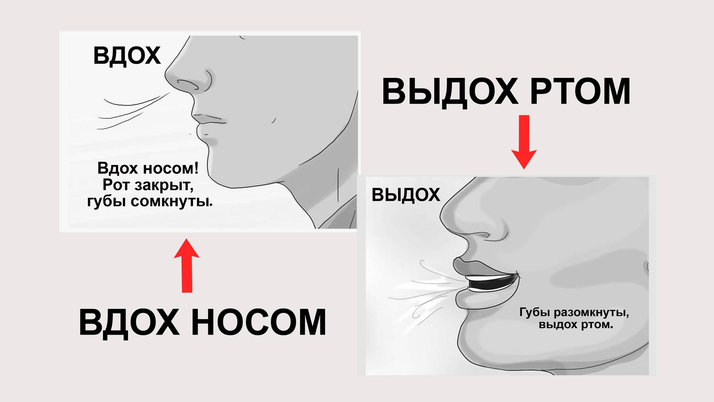 Практика для восстановления речевого выдоха смотреть онлайн