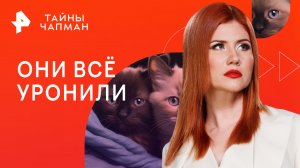 Они всё уронили — Тайны Чапман (16.03.2023)