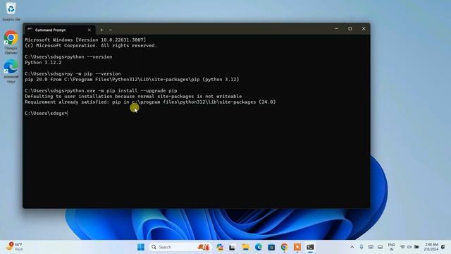How to Install Selenium on Windows 10/11 [ 2024 Update ] in Python 3.12.2 смотреть онлайн
