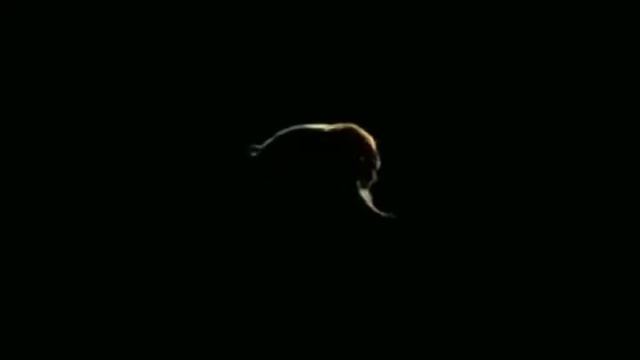 ZverCD Windows XP (2007) intro смотреть онлайн