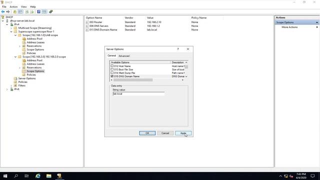 DHCP option смотреть онлайн