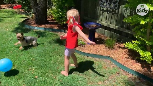 Pets 🐶 | Play School: Through The Windows | ABC Kids смотреть онлайн