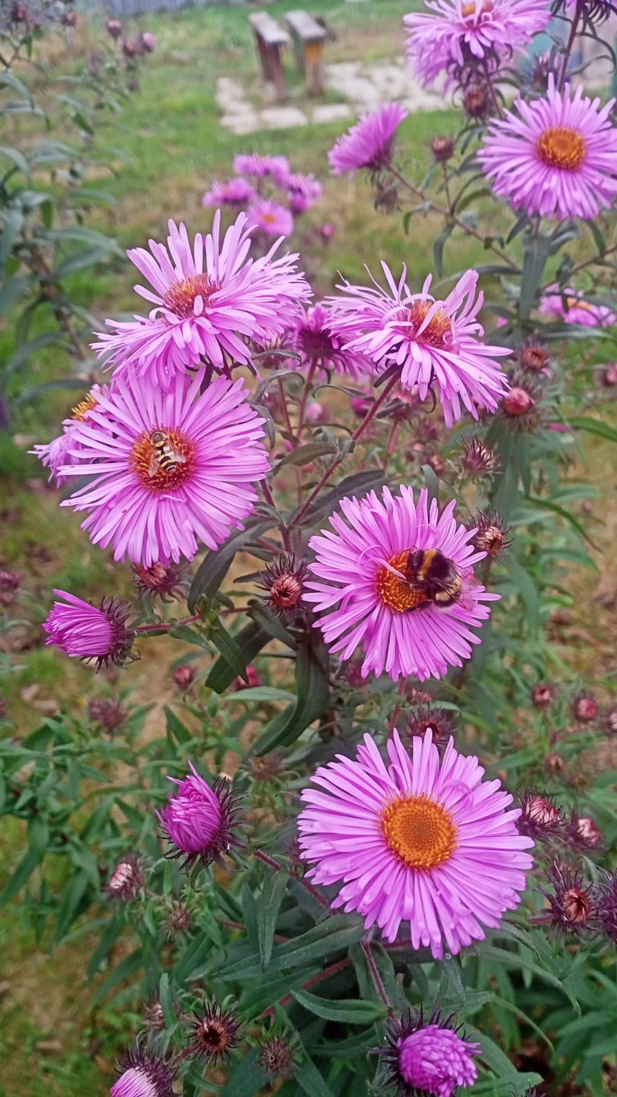 scene_output.mp4 смотреть онлайн