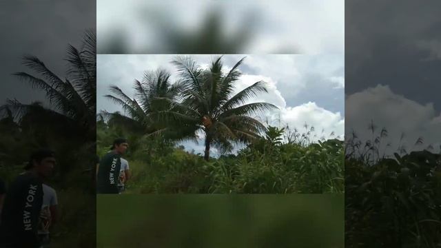 𝗧𝗵𝗶𝘀 𝗶𝘀 𝘁𝗵𝗲 𝗿𝗲𝗮𝘀𝗼𝗻 𝘄𝗵𝘆, 𝗔𝗽𝗽𝗹e 𝗶𝘀 𝘁𝗼𝗼 𝘀𝗺𝗮𝗹𝗹😂 смотреть онлайн