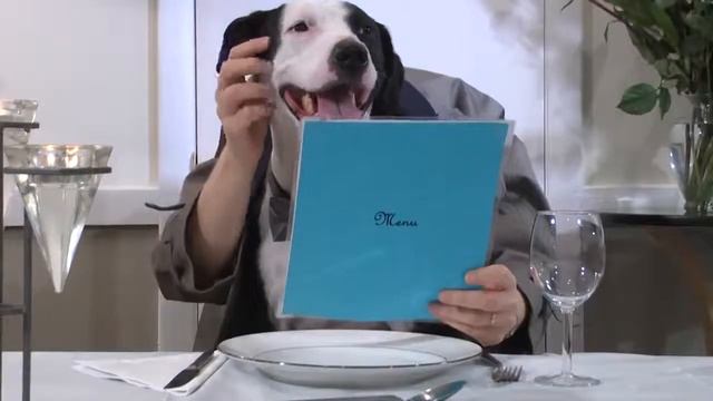 How to order food in a restaurant in English смотреть онлайн