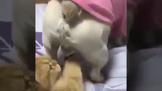 новая игрушка смотреть онлайн